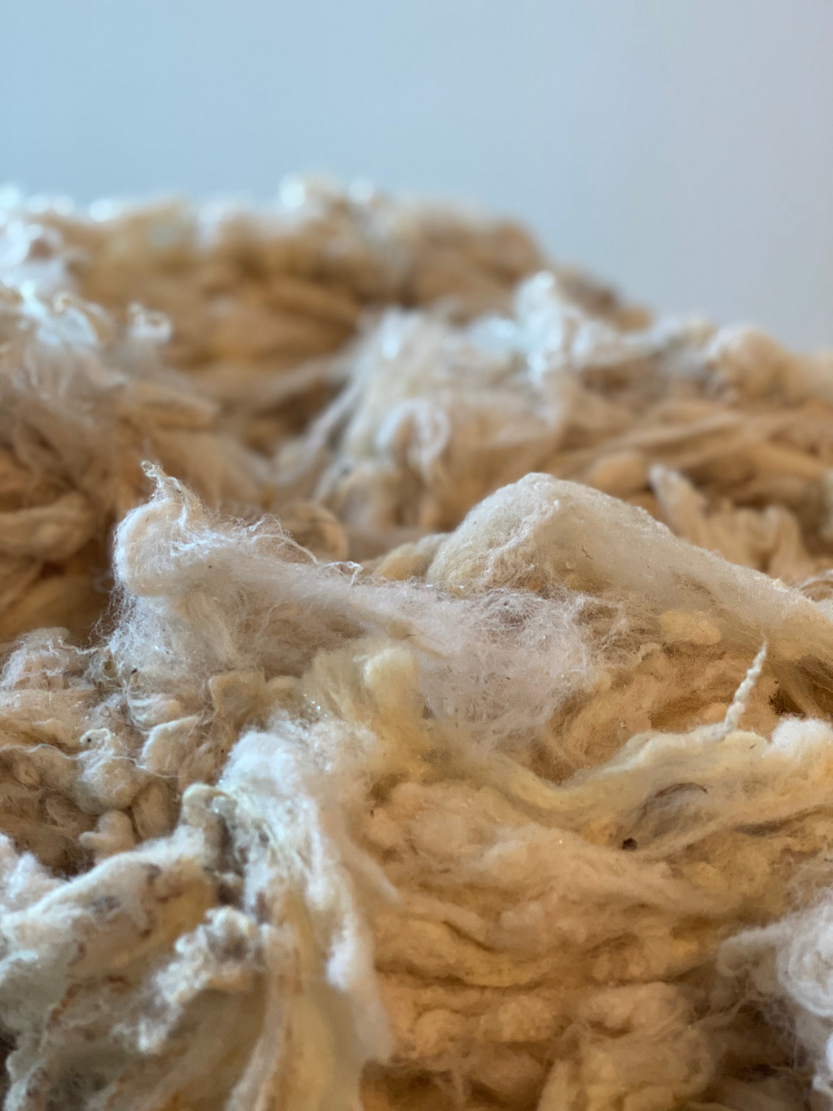 Macro close-up of soft raw wool fibres